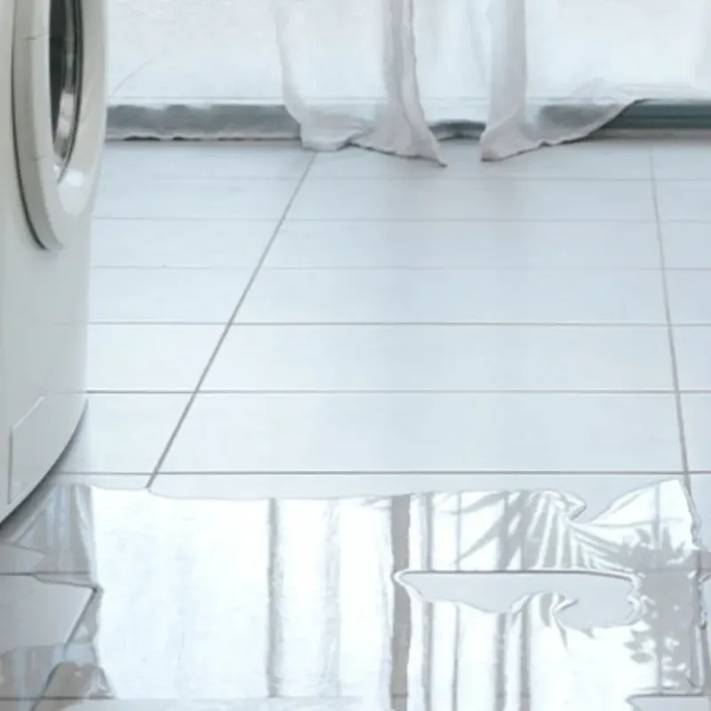 Appliance Leak Cleanup in Daingerfield, TX