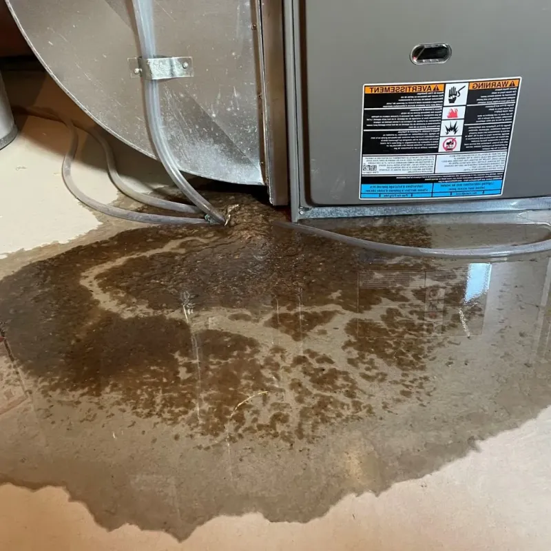 Pipe Burst and Leak Restoration in Daingerfield, TX