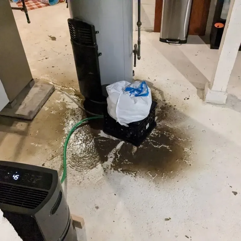 Sewage Backup Cleanup Service in Daingerfield, TX